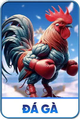 FLY88 Đá Gà