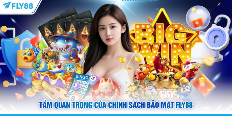 Chính Sách Bảo Mật FLY88 - Quy Định Về Sử Dụng Thông Tin 4 Tầm quan trọng của chính sách bảo mật tại FLY88