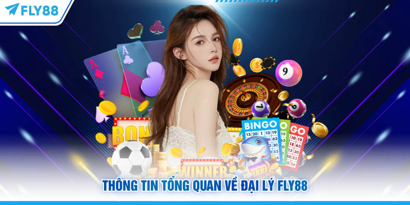 Thông tin tổng quan về đại lý FLY88
